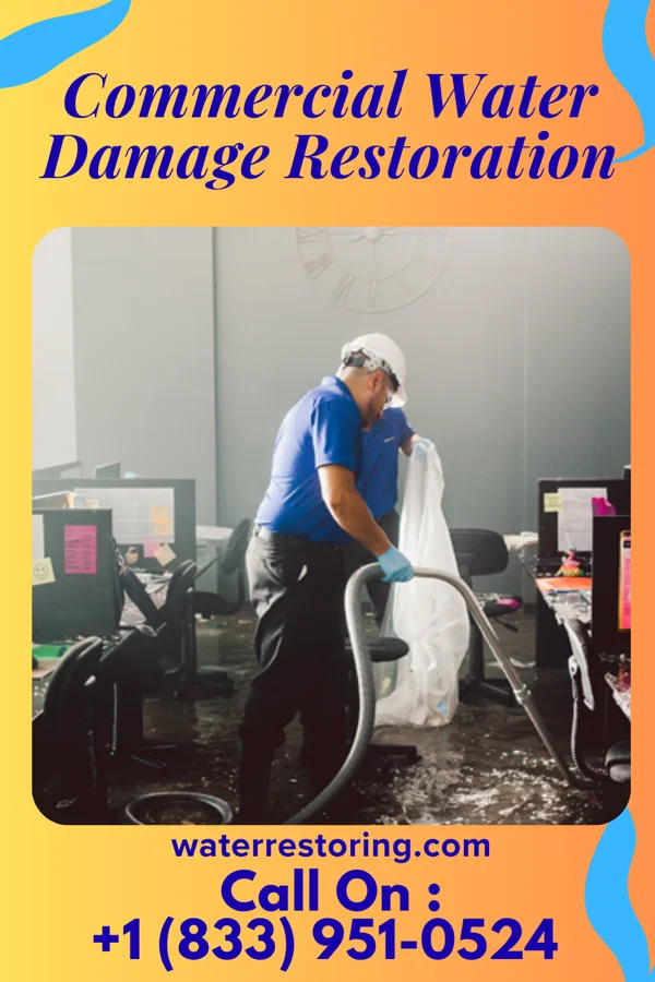 Commercial Water Damage Restoration in Cave Creek, AZ
